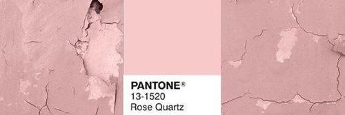 Jane.l banner