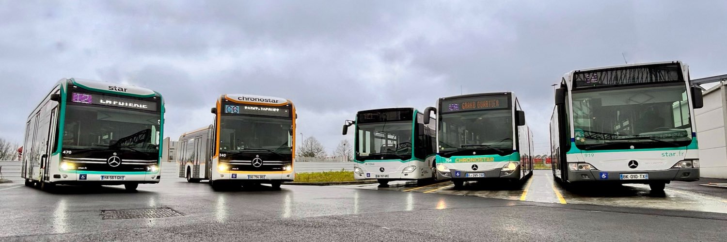 Ψ. Yoshi 🐲 banner