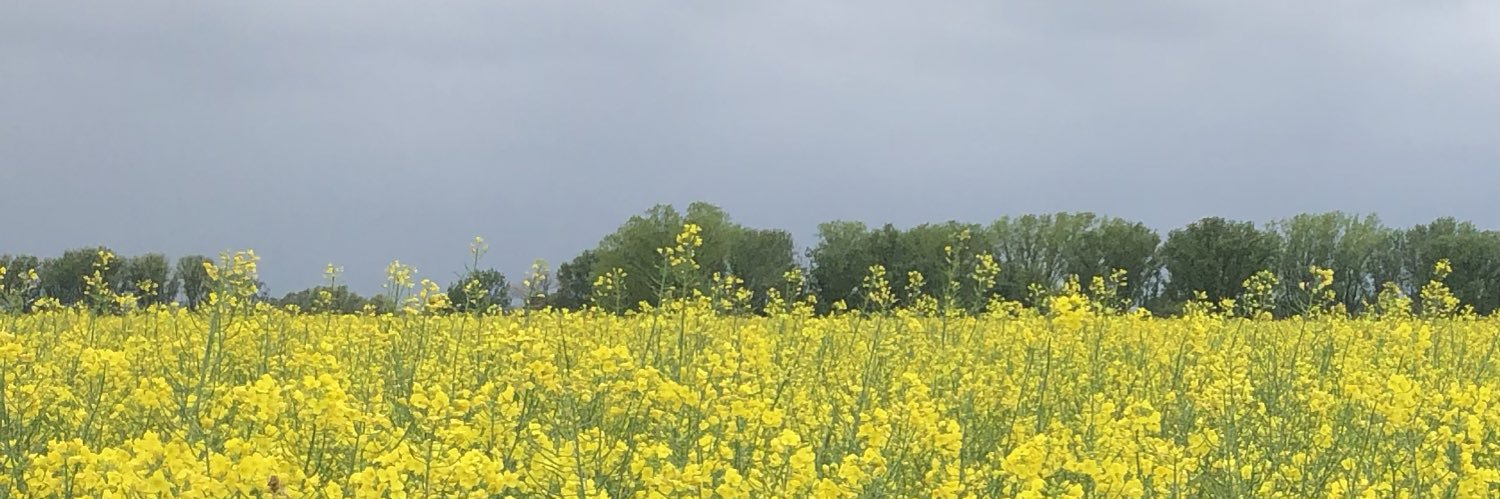 PeterSi1900's profile banner image