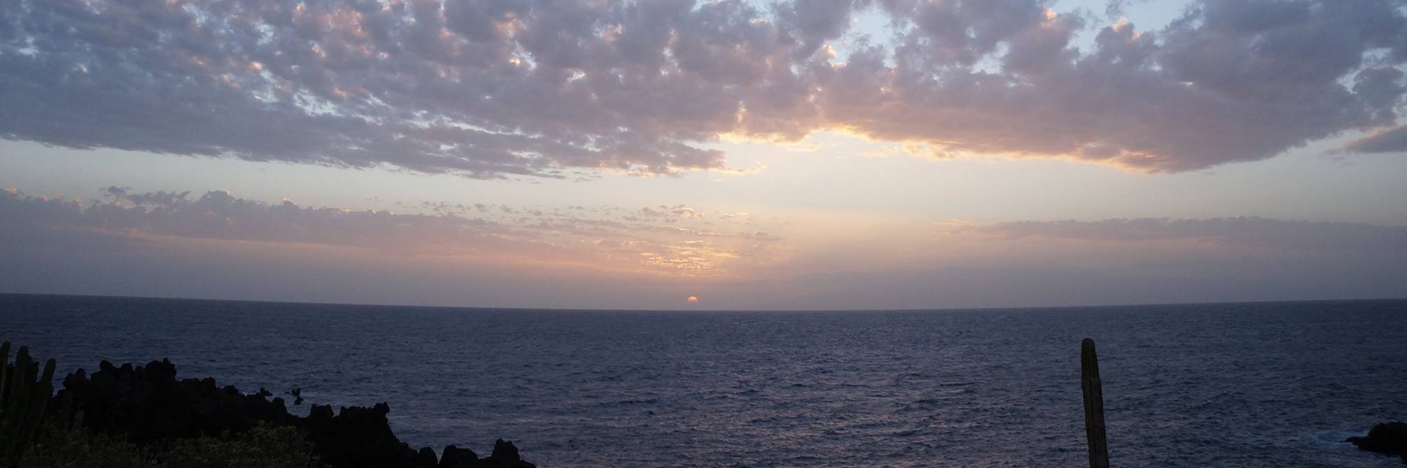 June MacMahon banner