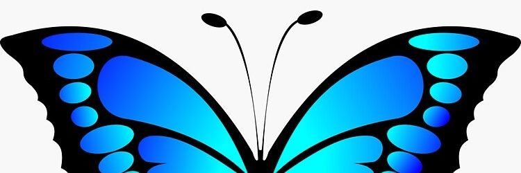 Bethmg1286's profile banner image