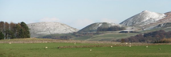 DalesBusFriends Profile Banner