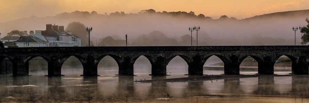 A-M-M 🛡️ banner