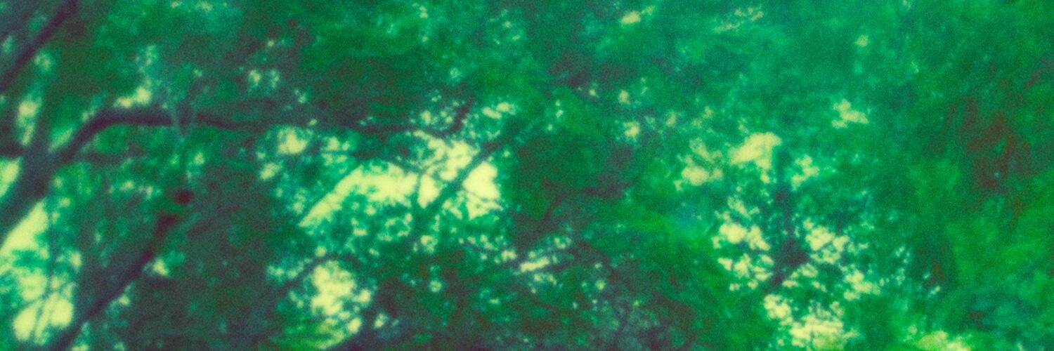 The Spectacular Now banner