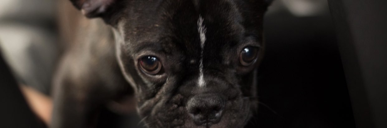 smar_azulito's profile banner image