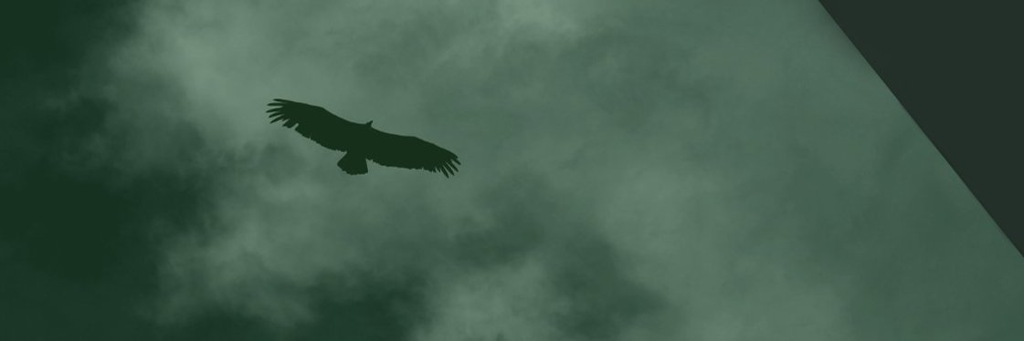 pluffNstuff's profile banner image
