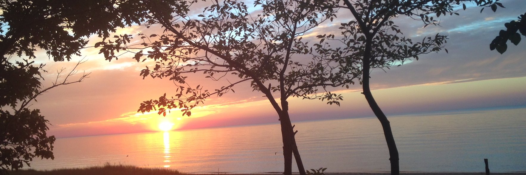 tracydell98's profile banner image