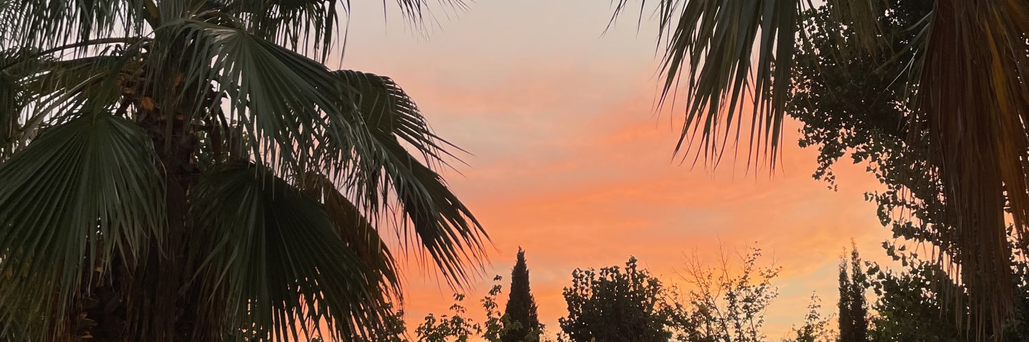 🖤 banner