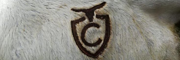 Alberto14735749's profile banner image