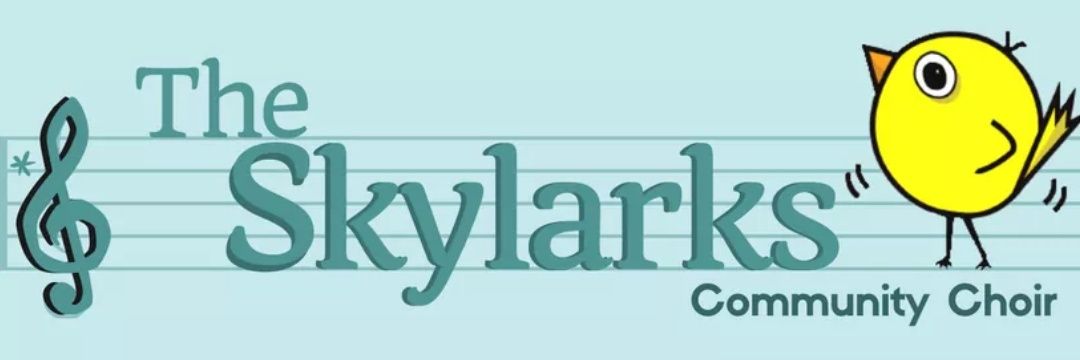 Skylarks Choir Birmingham banner