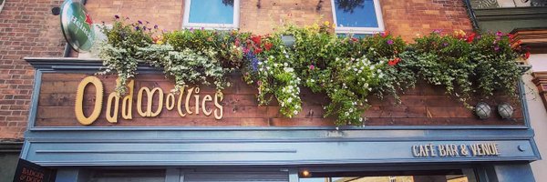 oddmollies Profile Banner
