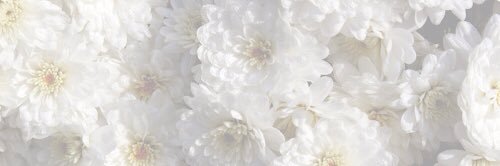 Jessica Mahu 🌻 banner