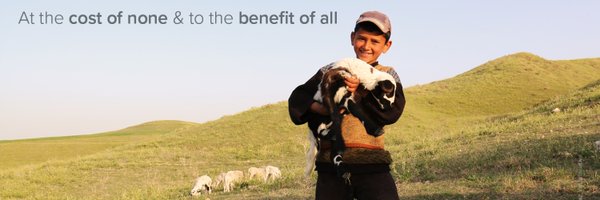 YoldaInitiative Profile Banner