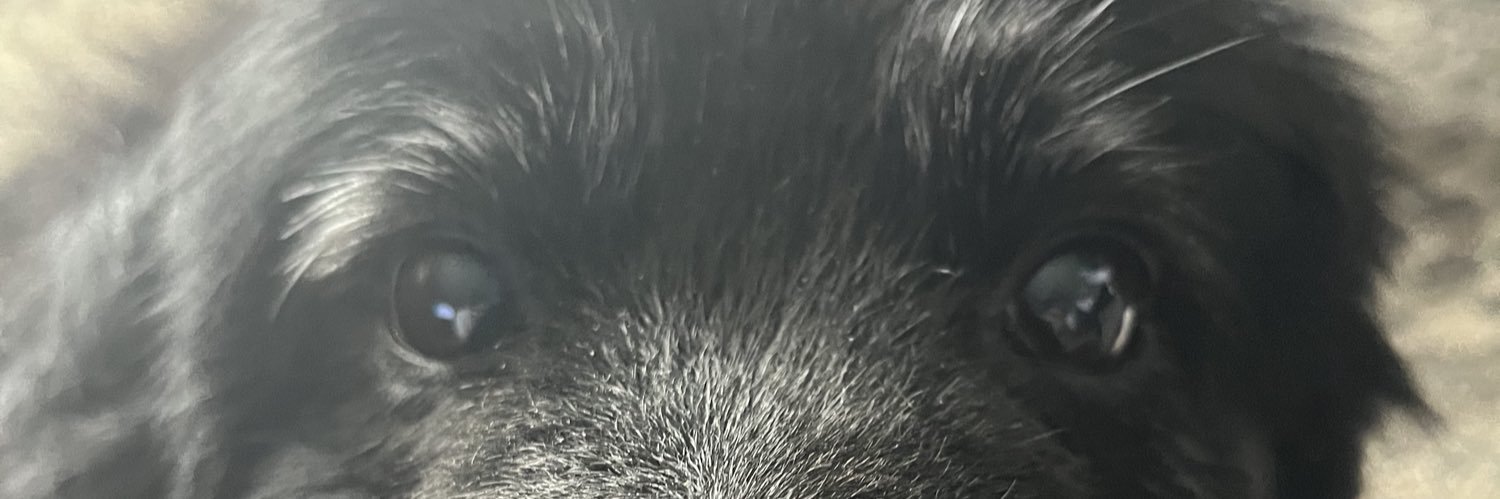 BuddyBostic10's profile banner image