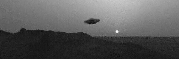 ellafox_m Profile Banner