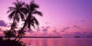 . banner