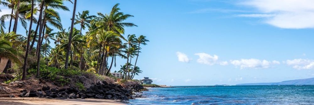 El Conde Montecristo banner