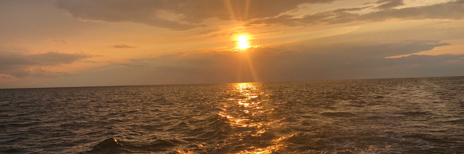 NYCTTrader's profile banner image
