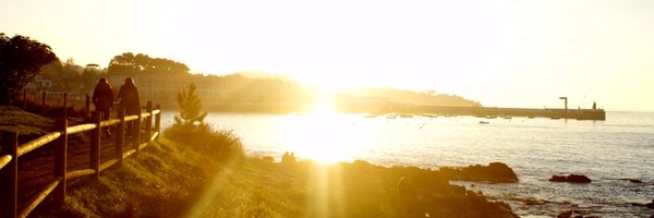 rollwaveplanner Profile Banner