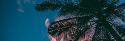 FvckMal's profile banner image
