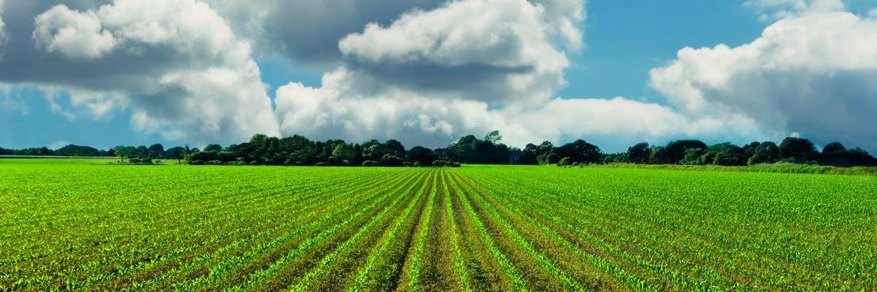 AGRODIAGNOSTIC banner