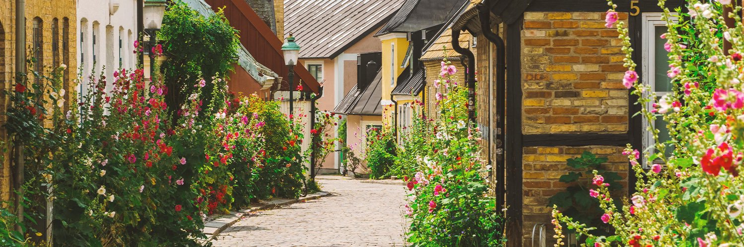 Sverigedemokraterna banner