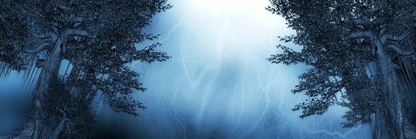 AM Walper is querying banner