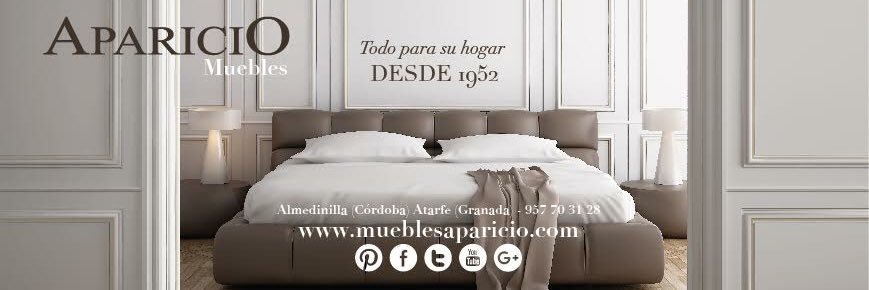 Muebles ApariciO banner