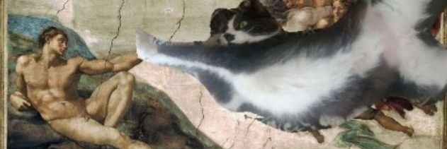 SteveOnBass's profile banner image