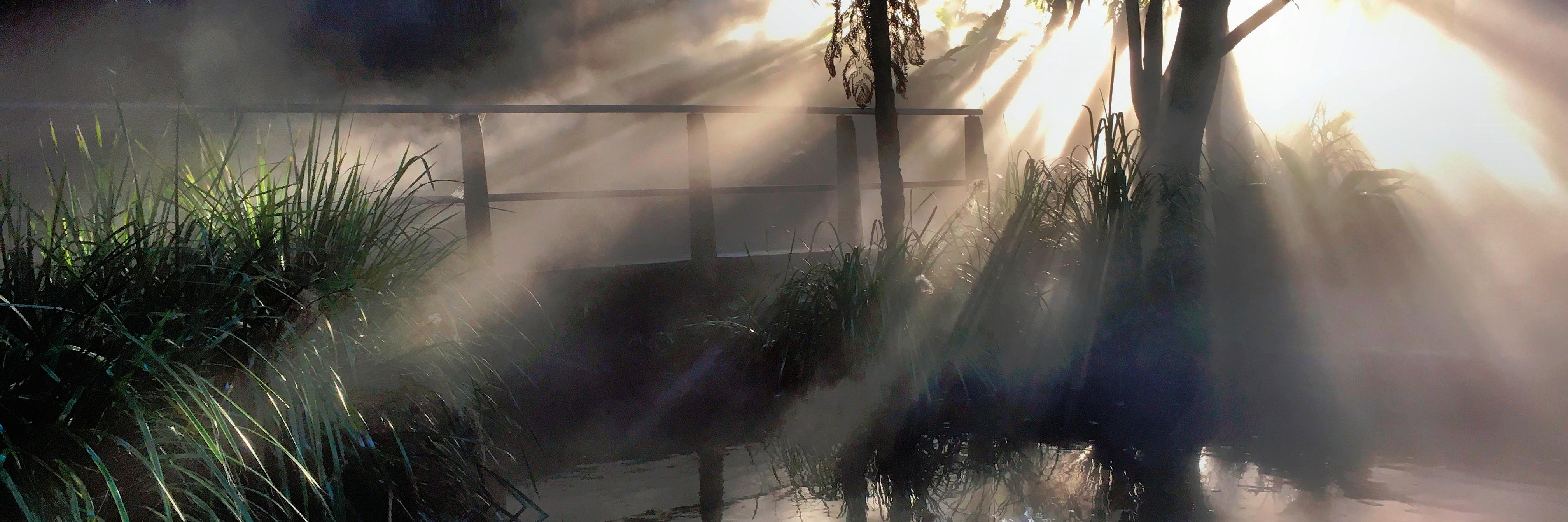 Derwan1's profile banner image