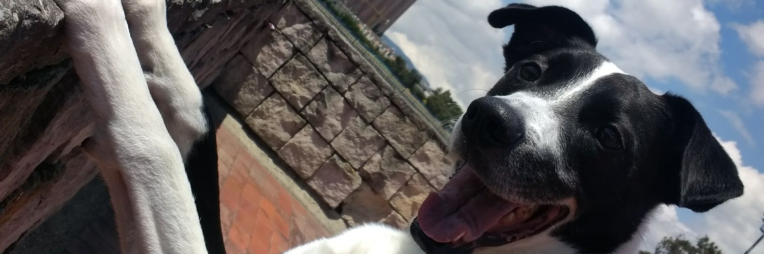 alejarodriguez_'s profile banner image