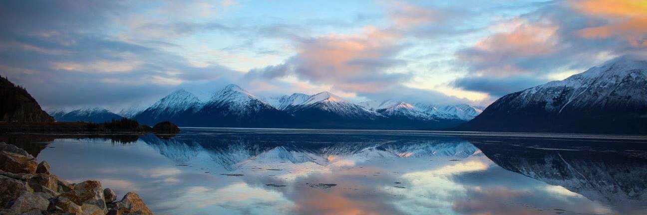 Alaska Premier Auctions & Appraisals banner