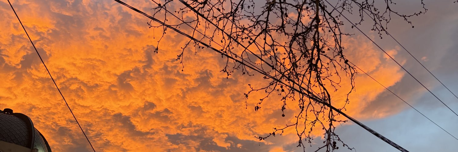 Yu stan pirates banner