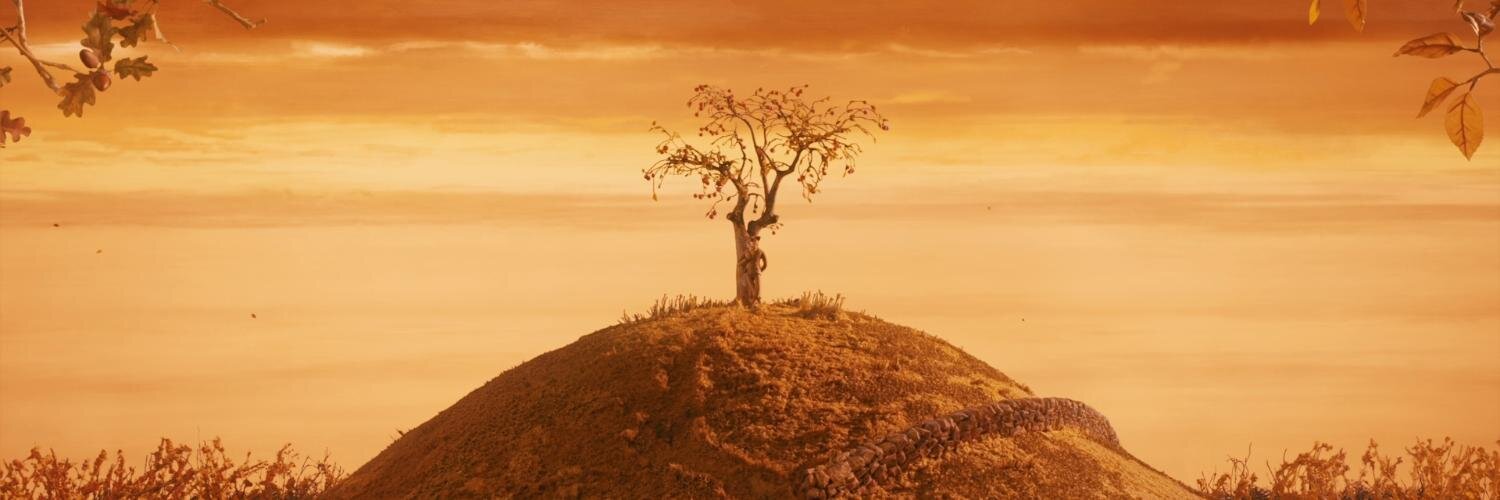 Matteo Camilli banner