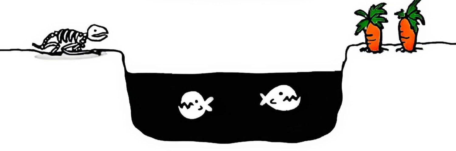 Cinderella's Shoe's banner