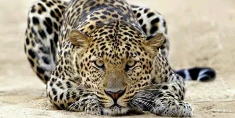 violetamotoreta's profile banner image