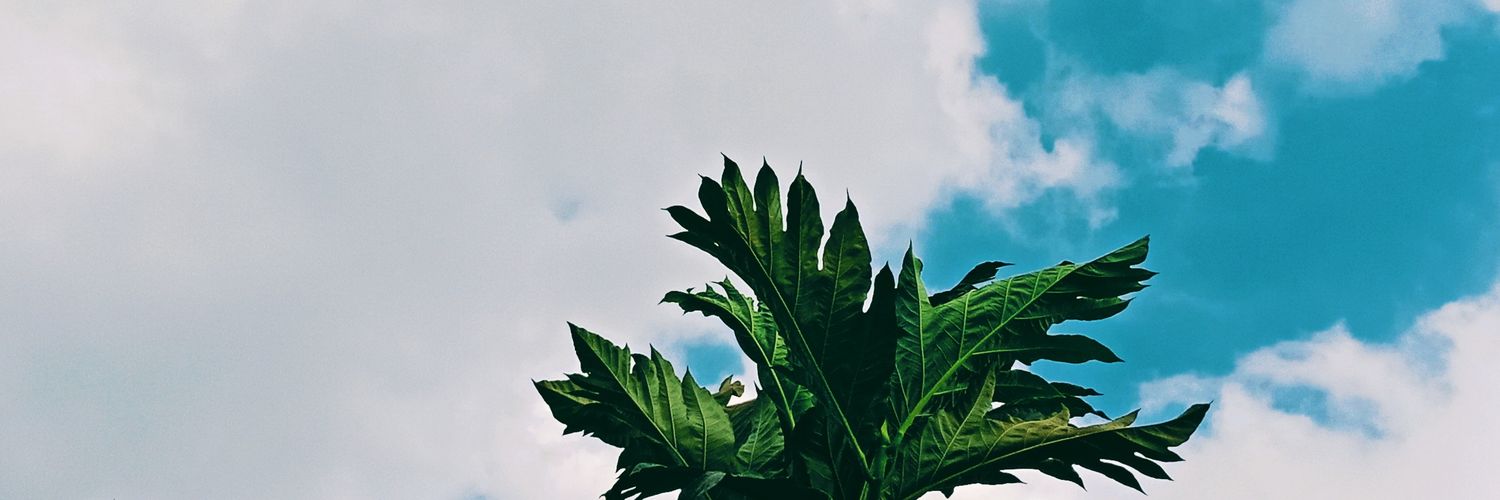 stepitandean's profile banner image