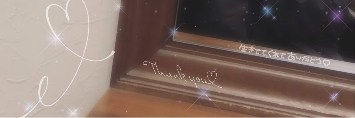 NO1_star4's profile banner image