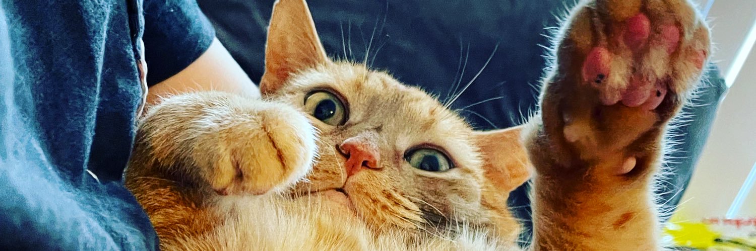 CatNinjaMO's profile banner image