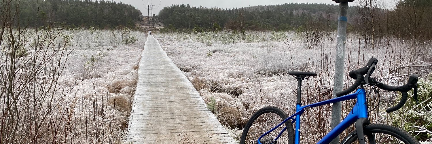 Jan Scholtz, Logic Wizard banner