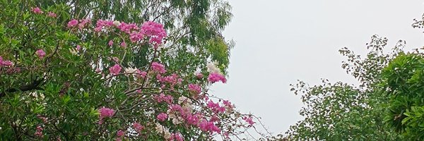 asthmatic_ghoda Profile Banner