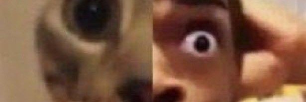 GurdyTurdy's profile banner image