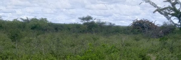 KizaKibabu Profile Banner