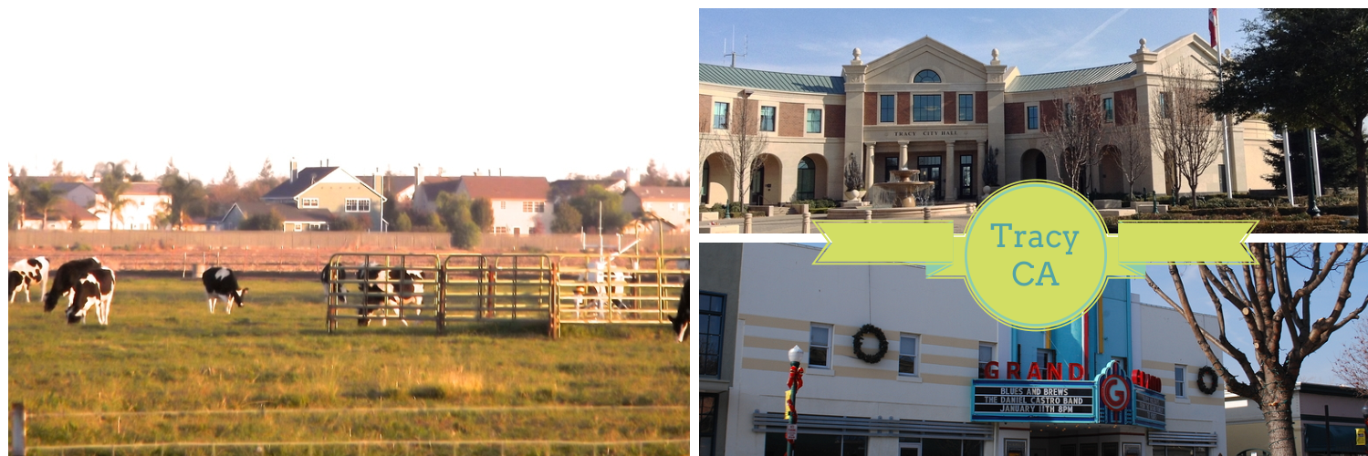 Susan Goulding, Realtor, Tracy CA Property Manager banner