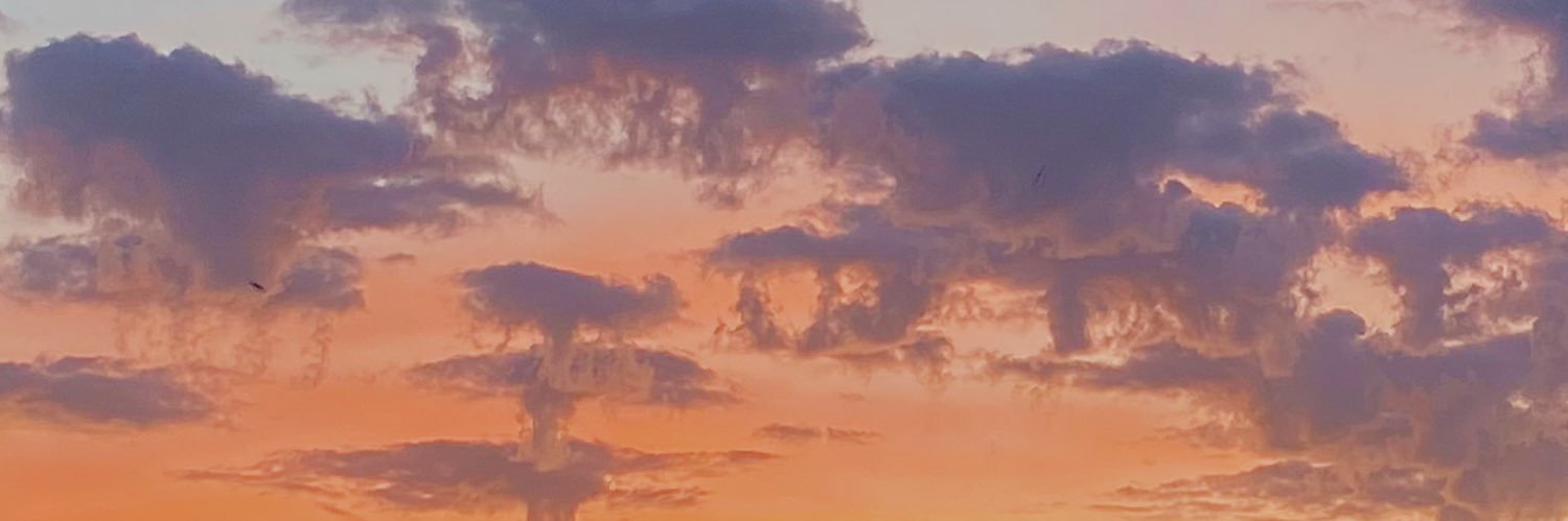 raquelhuake's profile banner image