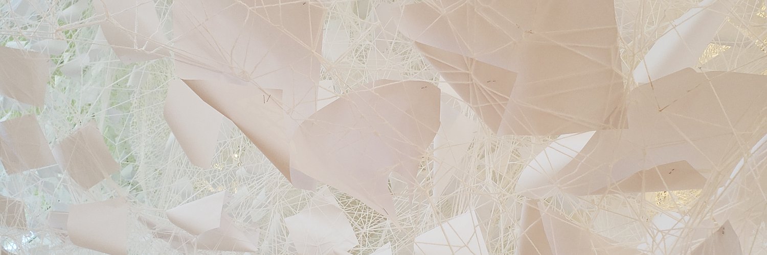 Fernanda Trisotto banner