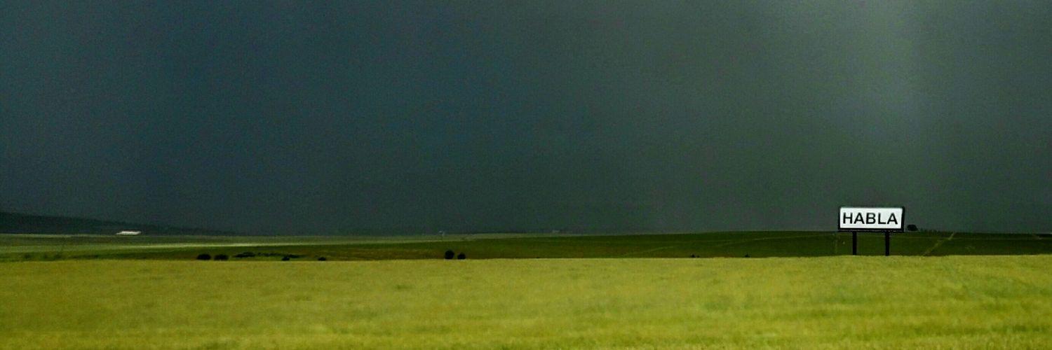 Isabel Ibarra Gª banner