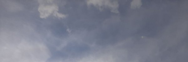 Tzuf6 Profile Banner