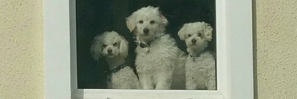 LaFranConserva Profile Banner