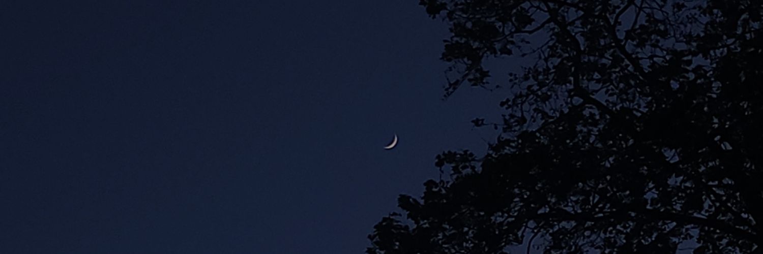 breesscrolling's profile banner image